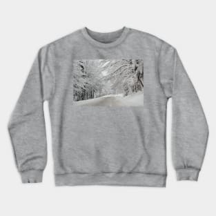 winter time Crewneck Sweatshirt